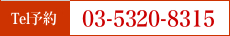 03-5320-8315